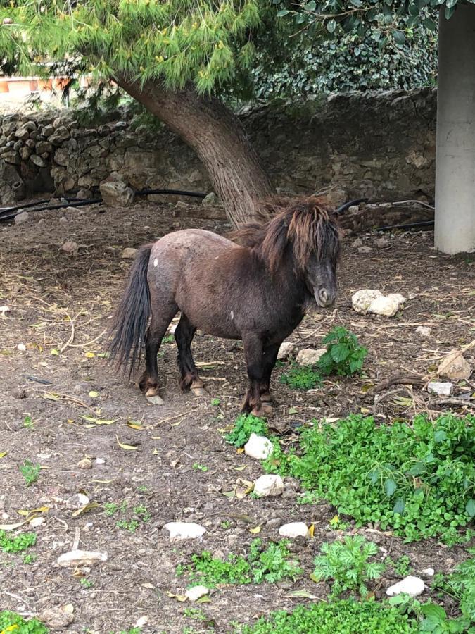 לינה וארוחת בוקר אקטה Casale Rocca Fiorita מראה חיצוני תמונה