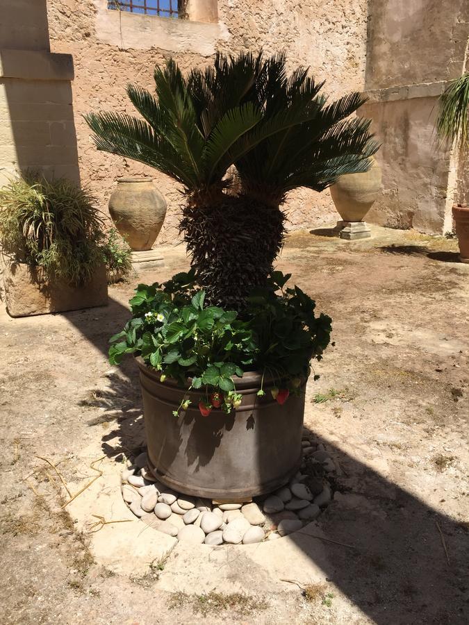 לינה וארוחת בוקר אקטה Casale Rocca Fiorita מראה חיצוני תמונה